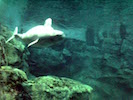 050510_02.jpg