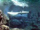 050510_03.jpg