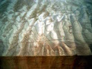 050510_04.jpg