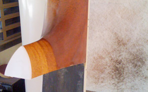 neck heel