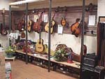 shop01.jpg